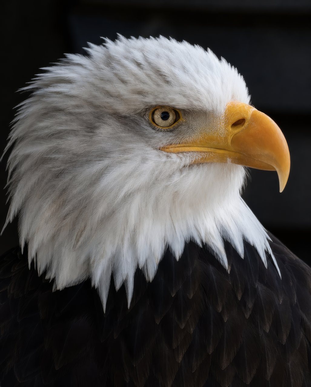 4K image